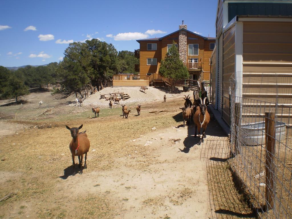 Mountain Goat Lodge Salida Exterior photo